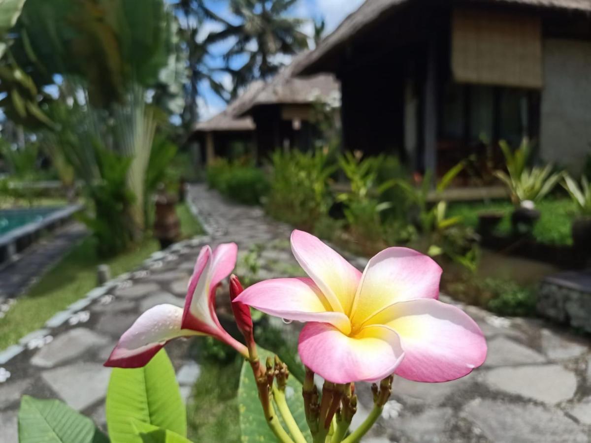 Taman Bintang Villa Ubud Экстерьер фото