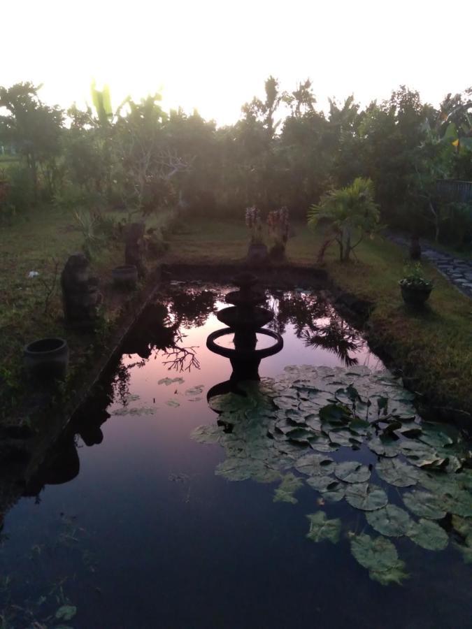 Taman Bintang Villa Ubud Экстерьер фото